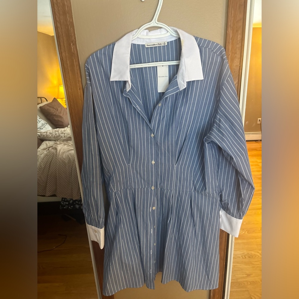 Abercrombie & Fitch Blue and White Striped Shirt